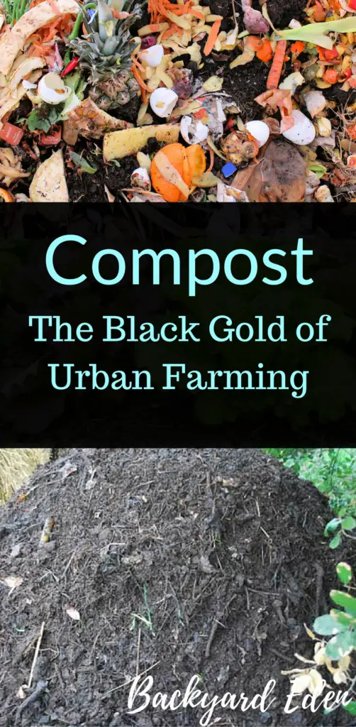 What is Compost: The Black Gold of Urban Farming, Compost, Backyard Eden, www.backyard-eden.com