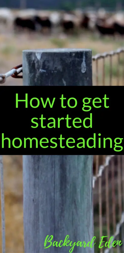 How to get started homesteading, homesteading, Backyard Eden, www.backyard-eden.com, www.backyard-eden.com/get-started-homesteading-today