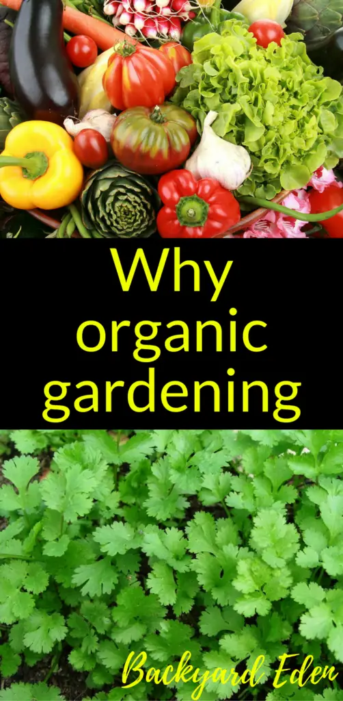 Why organic gardening, organic gardening, Backyard Eden, www.backyard-eden.com, www.backyard-eden.com/why-organic-gardening