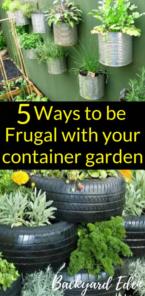 5 Ways to be Frugal with your container garden, Frugal Gardening, Backyard Eden, www.backyard-eden.com, www.backyard-eden.com/5-Ways-to-be-Frugal-with-your-container-garden