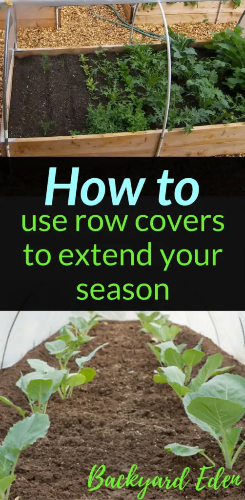 How to use row covers to extend your season, season extension, Backyard Eden, www.backyard-eden.com, www.backyard-eden.com/how-to-use-row-covers-to-extend-your-season