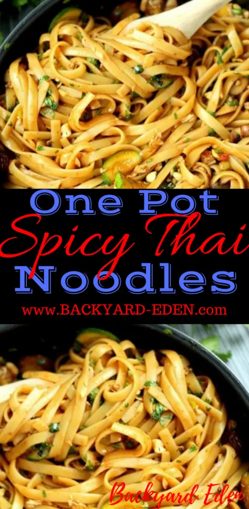 One Pot Spicy Thai Noodles, spicy thai noodles recipe, one pot meals, thai noodles, Backyard Eden, www.backyard-eden.com, www.backyard-eden.com/one-pot-spicy-thai-noodles