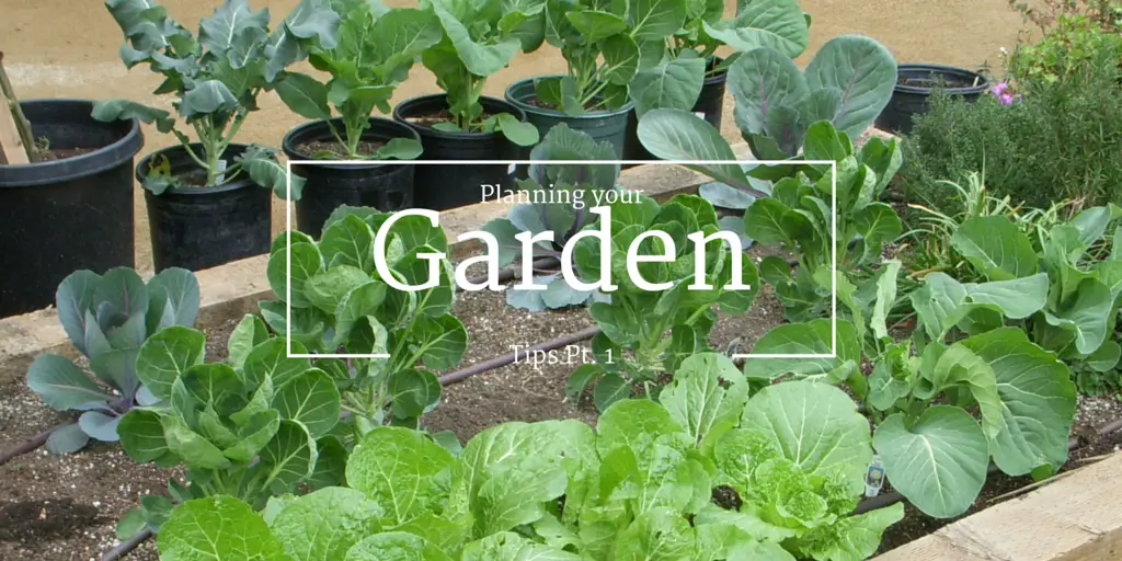 Planning your Garden Pt: 1 2