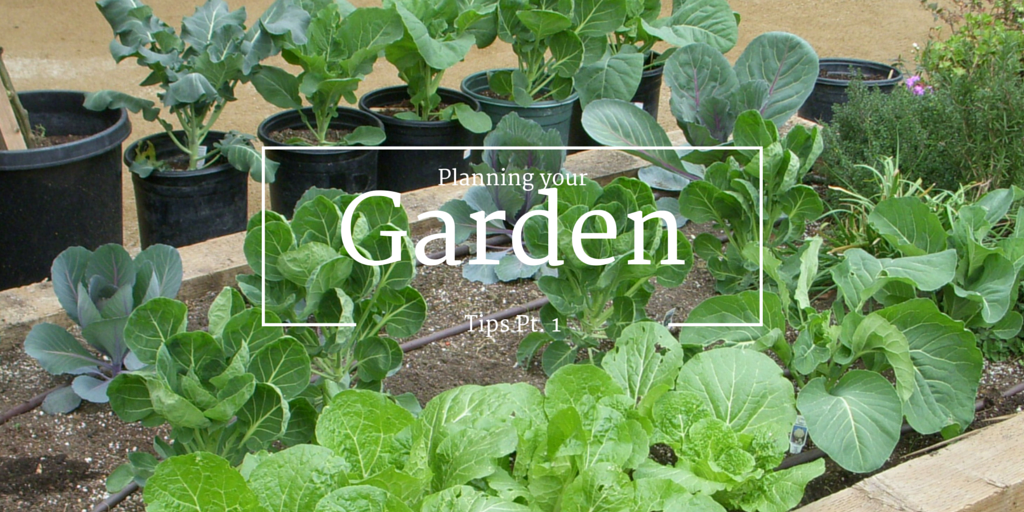Planning your Garden Pt: 1