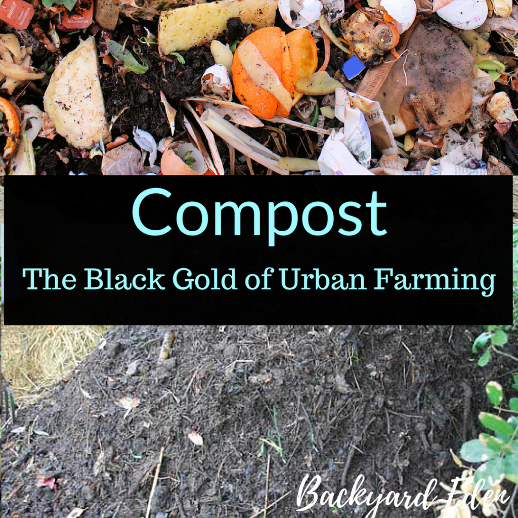 Compost: The Black Gold of Urban Farming, Compost, Backyard Eden, www.backyard-eden.com