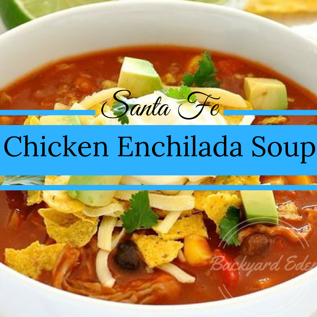 Recipes, Slow Cooker Recipes, Crock Pot Recipes, Chicken Enchilada Soup, Backyard Eden, www.backyard-eden.com