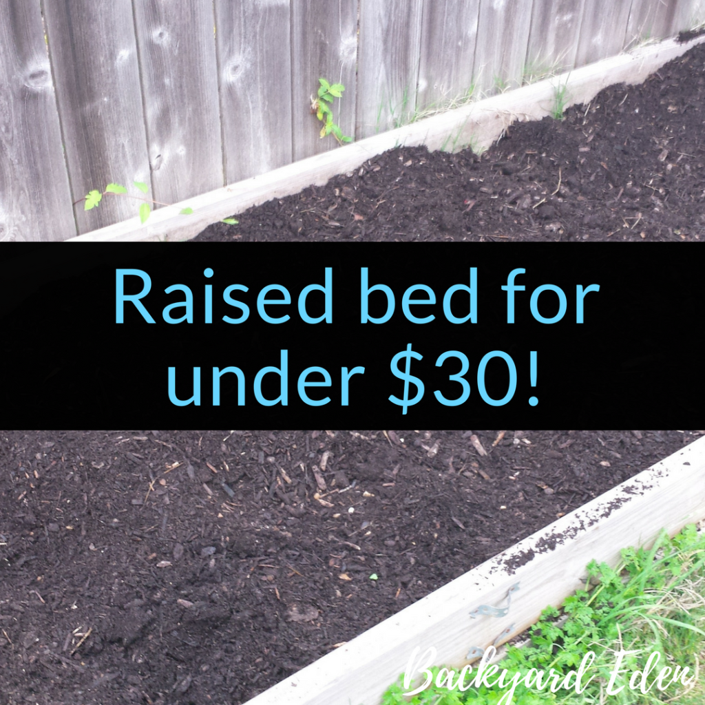 Raised bed for under $30!, Easy raised bed, diy raised bed, Backyard Eden, www.backyard-eden.com, www.backyard-eden.com/raised-bed-under-30/