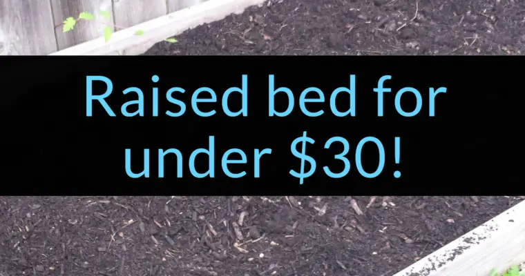 Raised bed for under $30!
