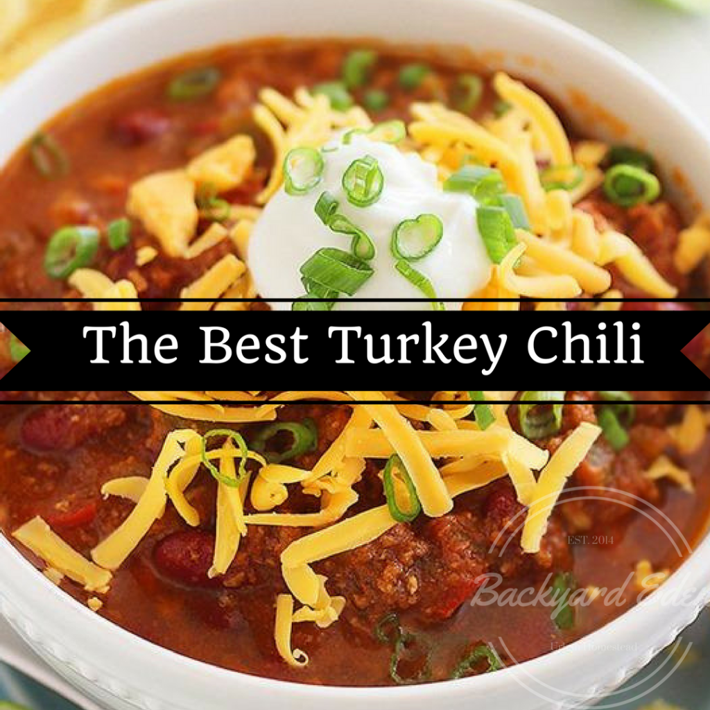 The Best Turkey Chili Recipe, Chili Recipe, Game Day, Superbowl, the Big game party, Backyard Eden, www.backyard-eden.com