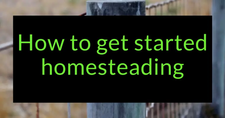 How to get started Homesteading today