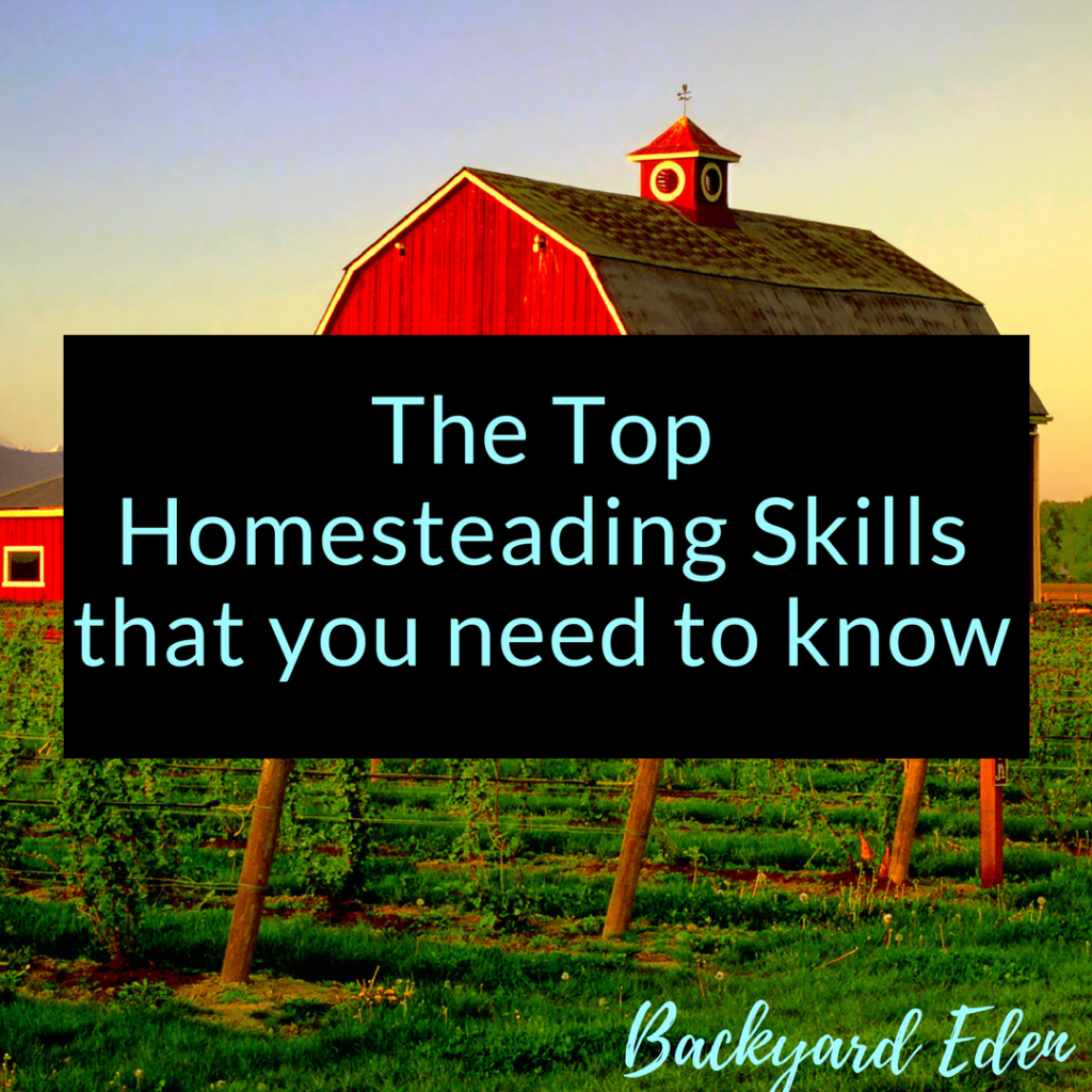 The Top Homesteading Skills that you need to know, homesteading skills, Backyard Eden, www.backyard-eden.com, www.backyard-eden.com/the-top-homesteading-skills