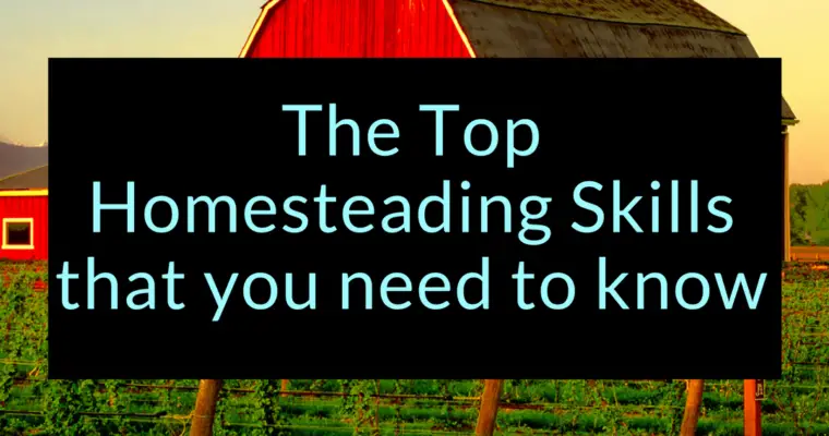 The Top Homesteading Skills that you need to know
