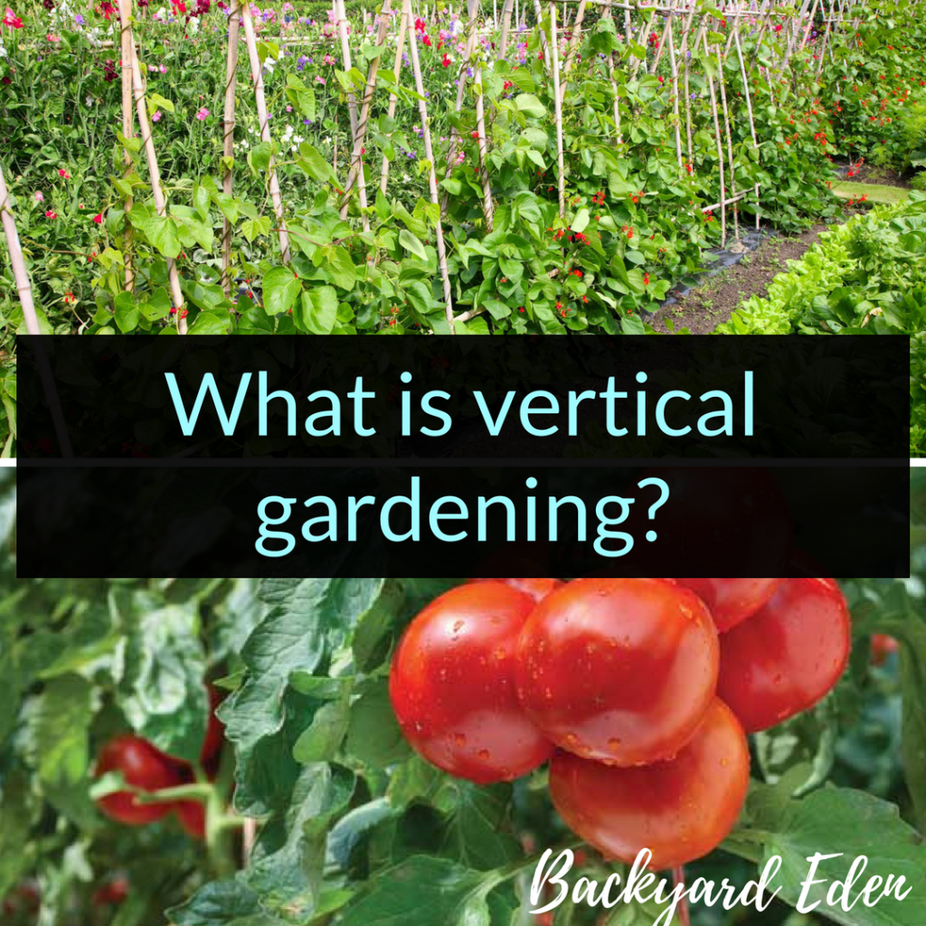What is vertical gardening, vertical gardening, Backyard Eden, www.backyard-eden.com