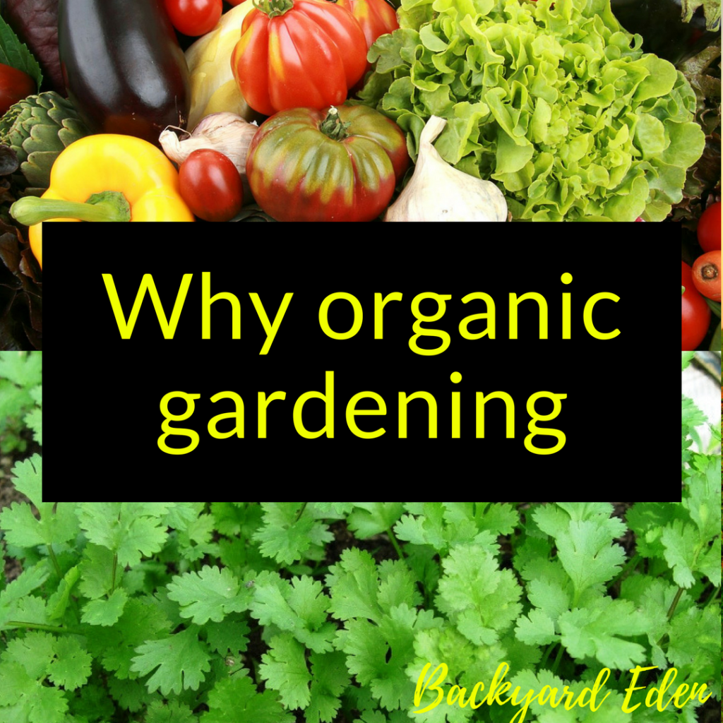 Why organic gardening? 15