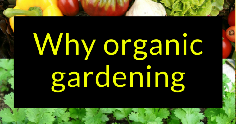 Why organic gardening?