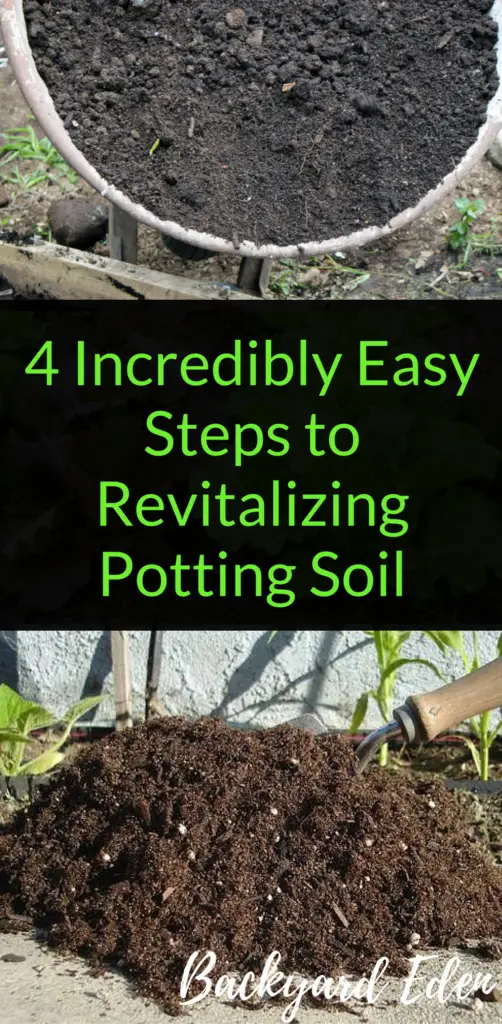 4 Incredibly Easy Steps to revitalizing potting soil, Reuse potting soil, potting soil, Backyard Eden, www.backyard-eden.com