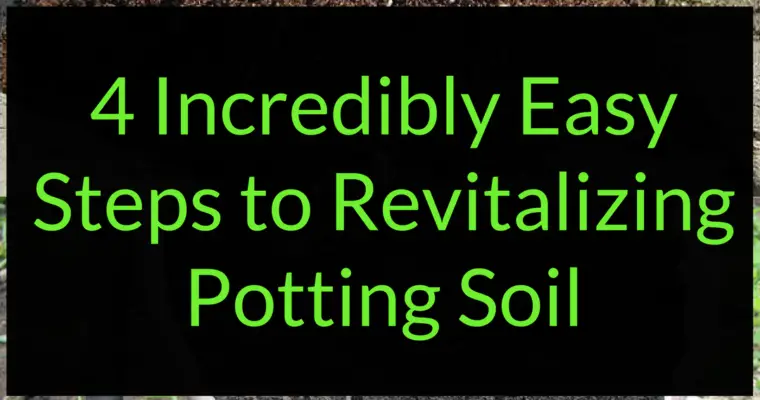 Revitalizing Potting Soil: 4 Incredibly Easy Steps to Reuse Soil