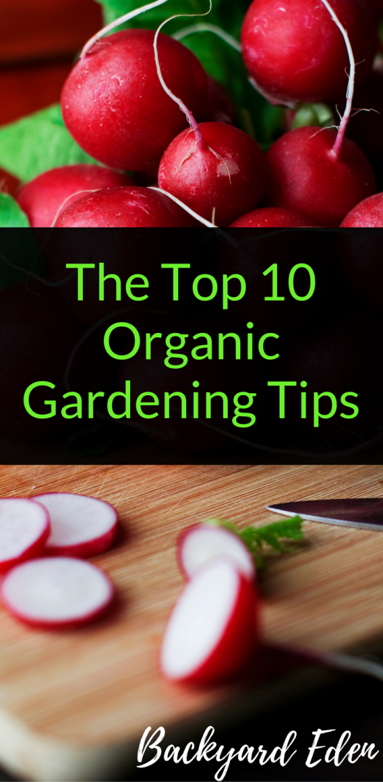 Organic Gardening Tips: 10 Natural Ways to Boost Your Garden's Health ...