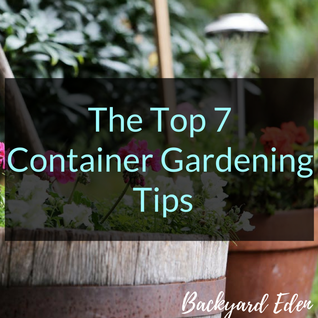 The Top 7 Container Gardening Tips, Container Gardening Tips, Container Gardening, Backyard Eden, www.backyard-eden.com