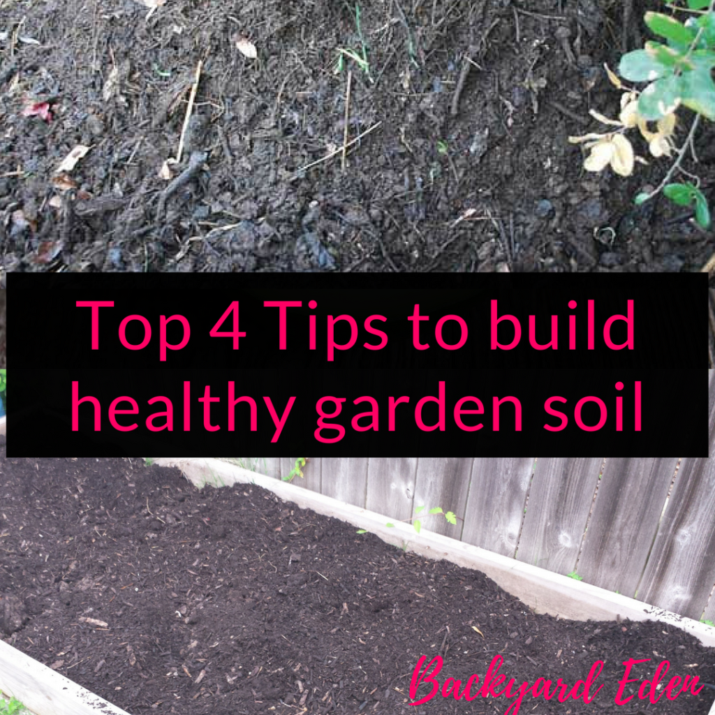 Top 4 Tips to build healthy garden soil, build healthy soil, soil, Backyard Eden, www.backyard-eden.com, www.backyard-eden.com/top-4-tips-to-build-healthy-garden-soil