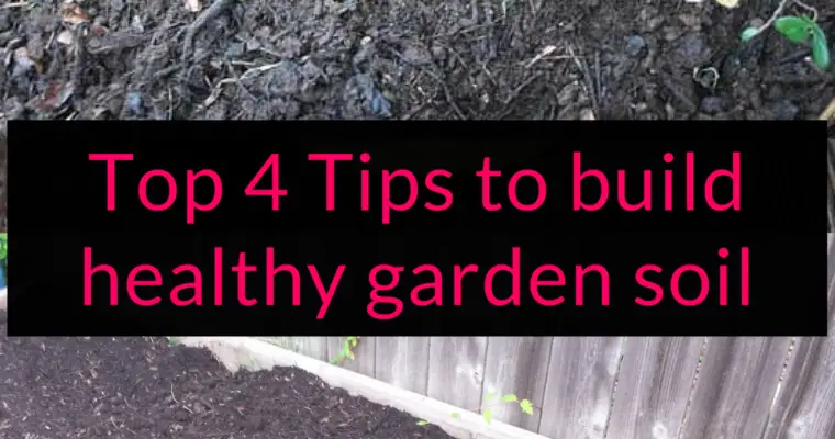 Top 4 Tips to Build Healthy Garden Soil