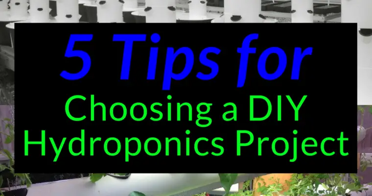 5 Tips for Choosing a DIY Hydroponics Project
