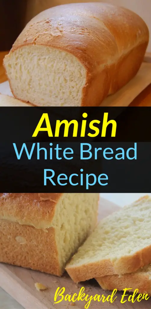 Amish White Bread Recipe, Bread Recipe, Homemade Bread Recipe, Backyard Eden, www.backyard-eden.com, www.backyard-eden.com/amish-white-bread-recipe