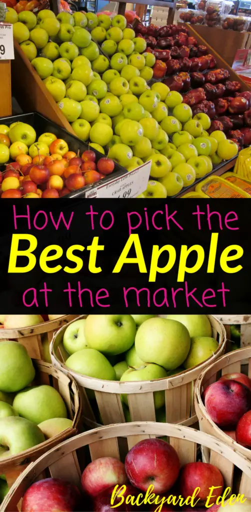 How to pick the best apple at the market, best apple, Backyard Eden, www.backyard-eden.com, www.backyard-eden.com/how-to-pick-the-best-apple-at-the-market