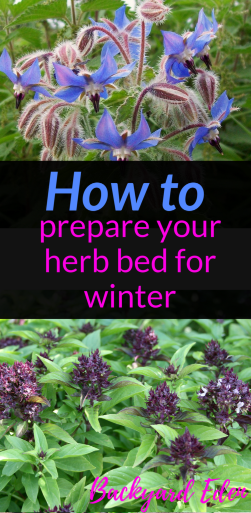 How to prepare your herb bed for winter, herbs, winterizing, Backyard Eden, www.backyard-eden.com, www.backyard-eden.com/how-to-prepare-your-herb-bed-for-winter