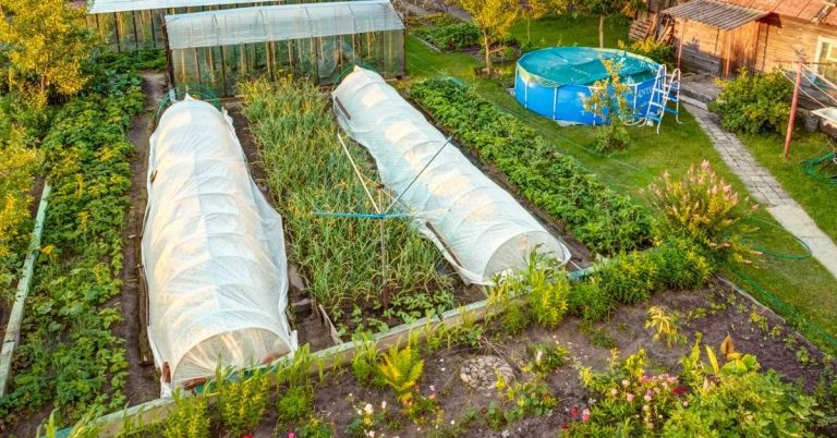 How to use row covers to extend your season