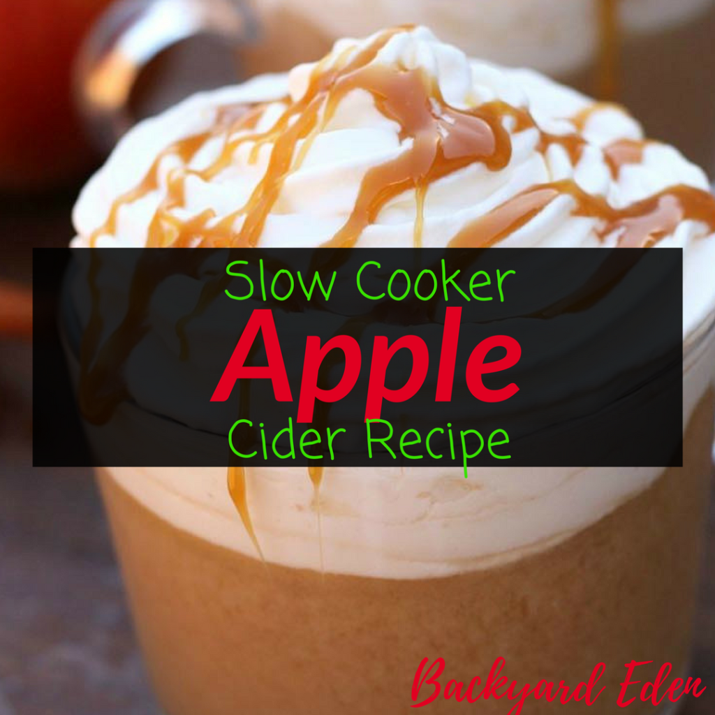 Slow Cooker Apple Cider Recipe, Apple Cider, Apple Cider Recipe, Backyard Eden, www.backyard-eden.com, www.backyard-eden.com/slow-cooker-apple-cider-recipe