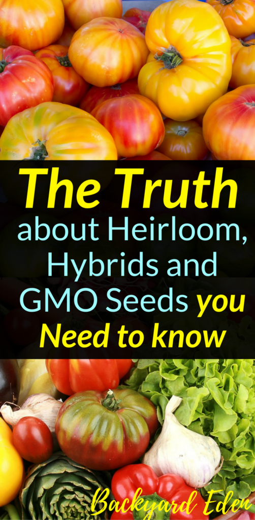 The Truth about Heirloom, Hybrid and GMO Seeds you need to know, Seeds, Heirloom, Hyrbid, Backyard Eden, www.backyard-eden.com, www.backyard-eden.com/the-truth-about-heirloom-hyrbid-gmo-seeds-you-need-to-know