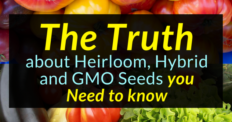 Seed Truth: The Truth about Heirloom, Hybrid and GMO Seeds you need to know