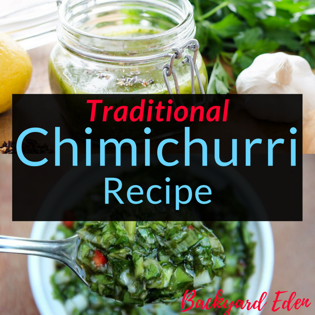 Traditional Chimichurri Sauce Recipe. Recipes, Chimichurri,, Backyard Eden, www.backyard-eden.com, www.backyard-eden.com/Traditional-Chimichurri-Recipe