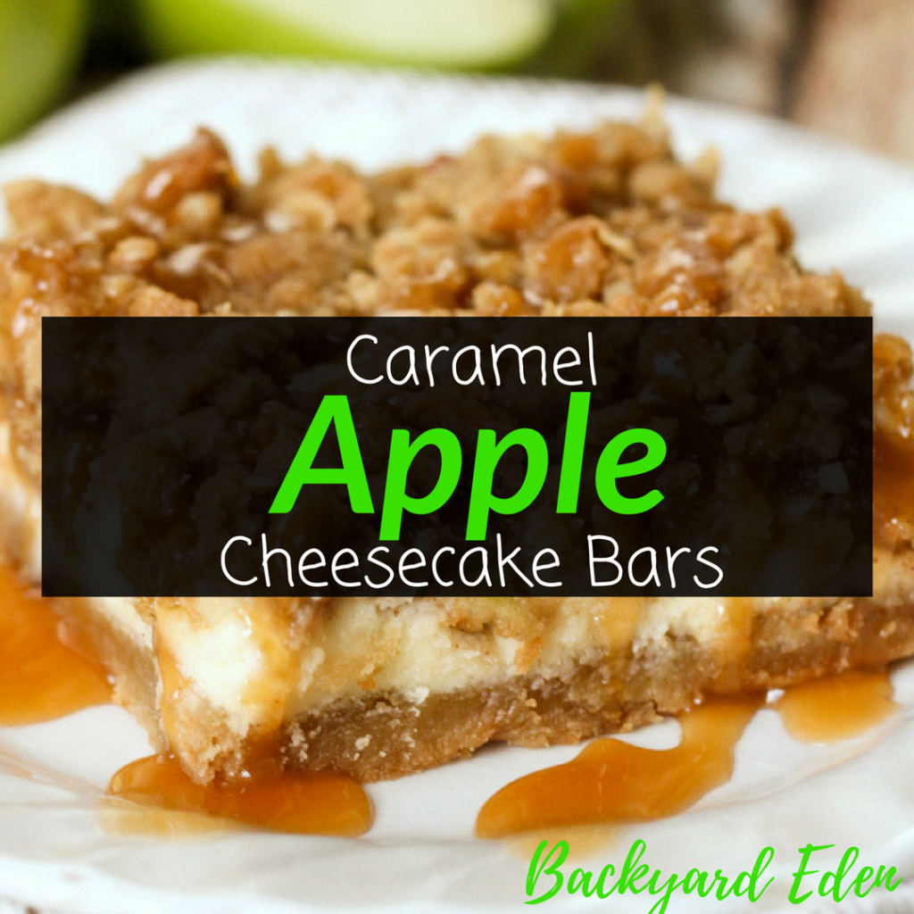 Caramel Apple Cheesecake Bars Recipe, Cheesecake Bars, Caramel Apple Cheesecake, Backyard Eden, www.backyard-eden.com, www.backyard-eden.com/caramel-apple-cheesecake-bars-recipe