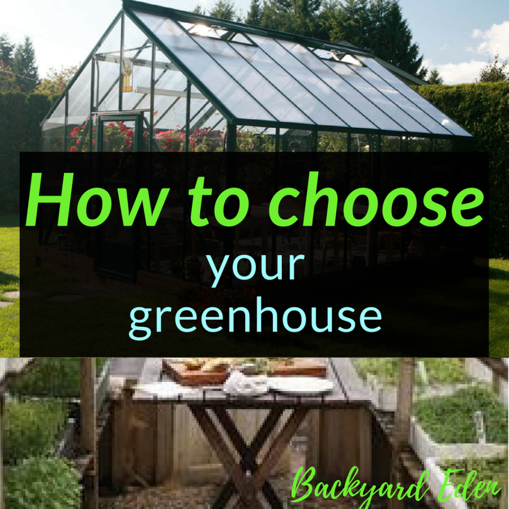 How to choose a greenhouse for you, greenhouse, Backyard Eden, www.backyard-eden.com, www.backyard-eden.com/how-to-choose-a-greenhouse-for-you