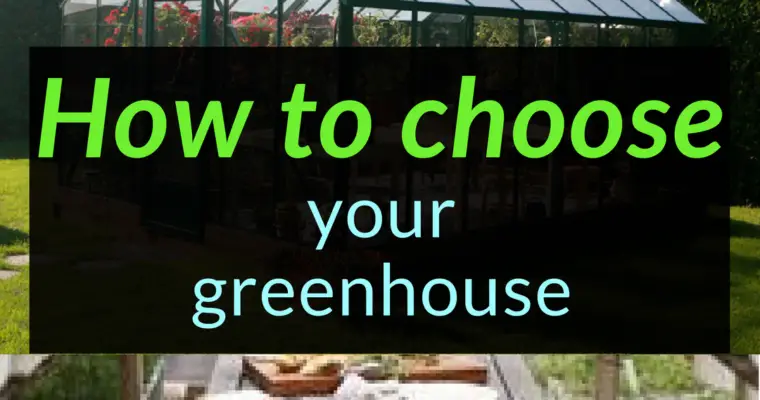 How to choose a greenhouse for you, greenhouse, Backyard Eden, www.backyard-eden.com, www.backyard-eden.com/how-to-choose-a-greenhouse-for-you