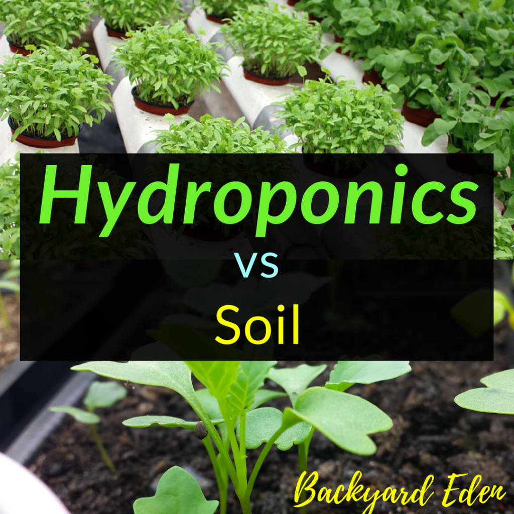 Hydroponics vs soil, Hydroponics, Backyard Eden, www.backyard-eden.com, www.backyard-eden.com/hydroponics-vs-soil