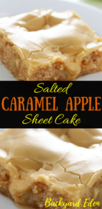 Salted Caramel Apple Sheet Cake Recipe, caramel apple, salted caramel, Recipes, Backyard Eden, www.backyard-eden, www.backyard-eden.com/salted-caramel-apple-sheet-cake-recipe