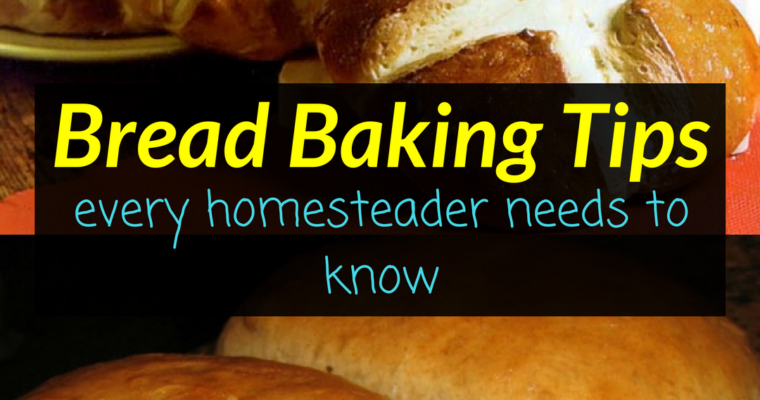 Bread Baking Tips – Every homesteader needs to know