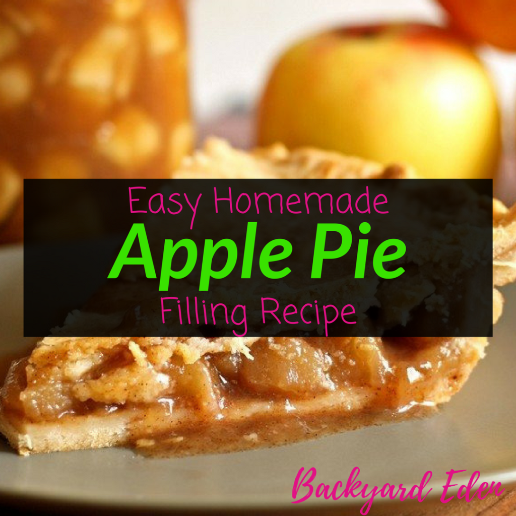 Easy Homemade Apple Pie Filling Recipe, apple pie, apple pie filling, apple pie filling recipe, Backyard Eden, www.backyard-eden.com, www.backyard-eden.com/easy-homemade-apple-pie-filling-recipe