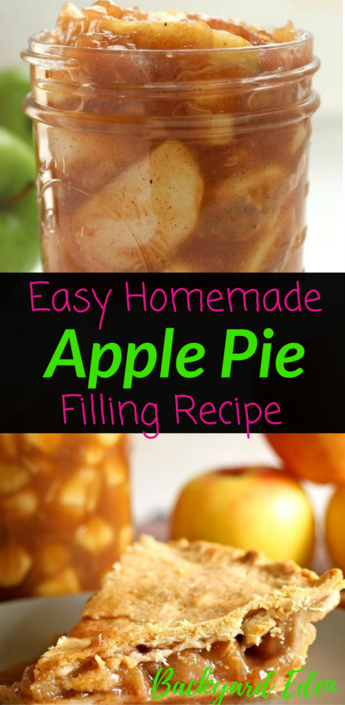 Easy Homemade Apple Pie Filling Recipe, apple pie, apple pie filling, apple pie filling recipe, Backyard Eden, www.backyard-eden.com, www.backyard-eden.com/easy-homemade-apple-pie-filling-recipe