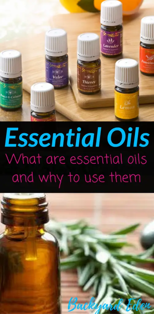 Essential Oils - What are essential oils and why to use them, Essential oils, Backyard Eden, www.backyard-eden.com, www.backyard-eden.com/essential-oils-what-are-essential-oils-and-why-to-use-them