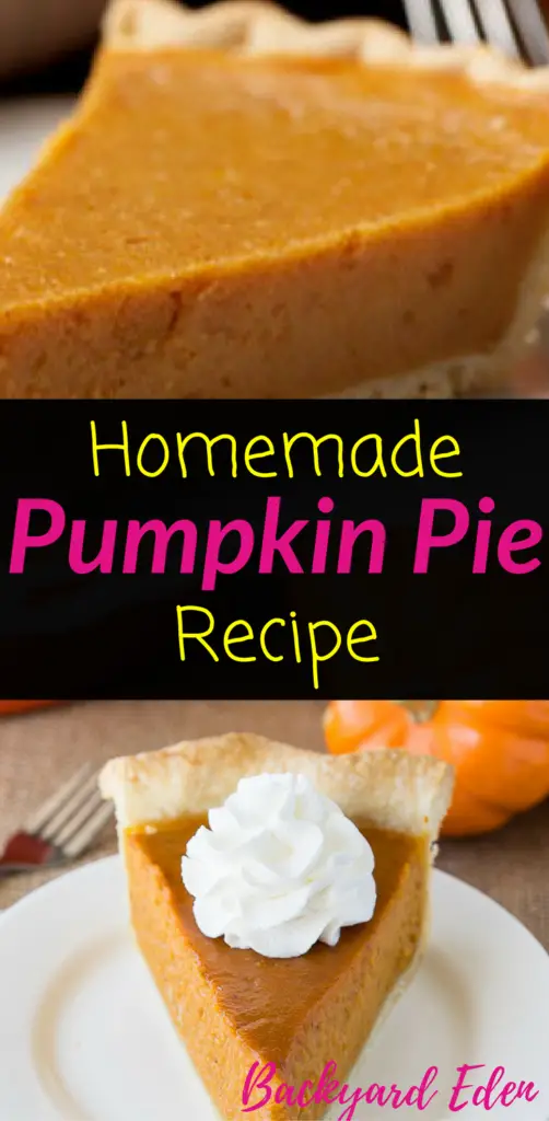 Homemade Pumpkin Pie Recipe, pumpkin pie, homemade pie, Backyard Eden, www.backyard-eden.com, www.backyard-eden.com/homemade-pumpkin-pie-recipe