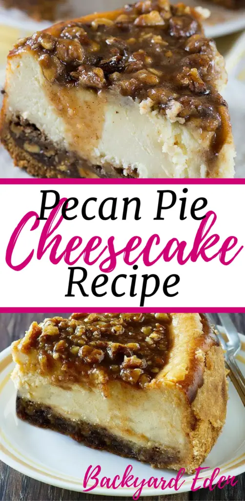 Pecan Pie Cheesecake Recipe, Cheesecake, Cheesecake Recipe, Pecan Pie Cheesecake, Backyard Eden, www.backyard-eden.com, www.backyard-eden.com/pecan-pie-cheesecake-recipe