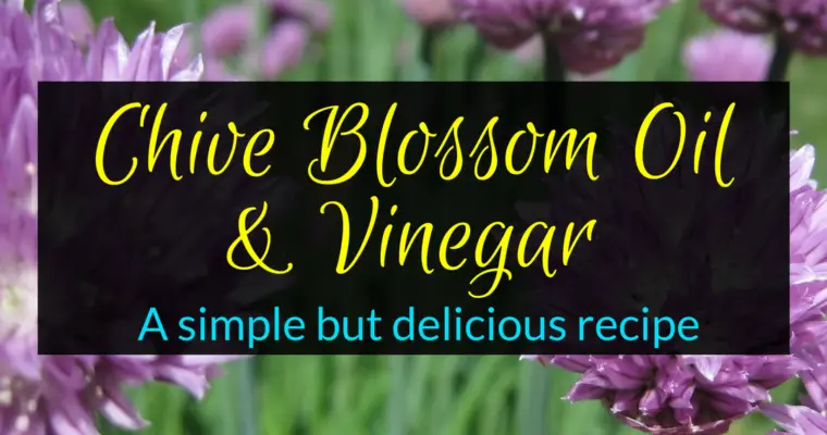 Chive Blossom Oil and Vinegar Recipe