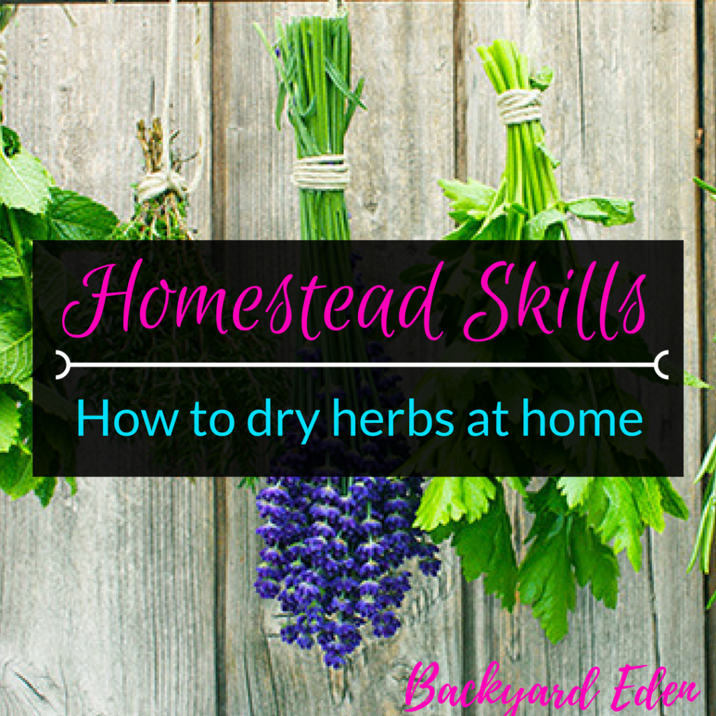 How to dry herbs at home, how to dry herbs, homestead skills, Backyard Eden, www.backyard-eden.com, www.backyard-eden.com/how-to-dry-herbs-at-home