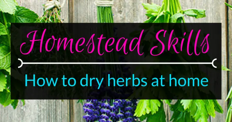 How to dry herbs at home