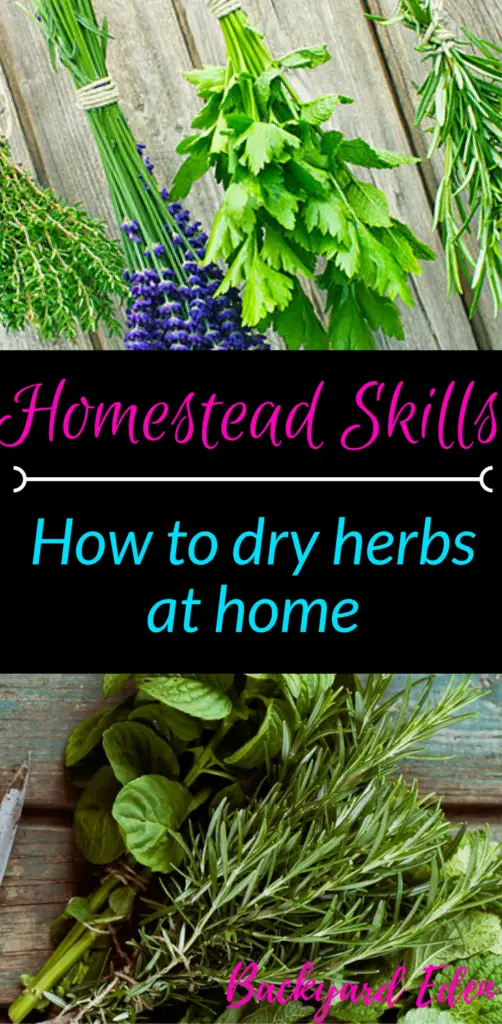 How to dry herbs at home, how to dry herbs, homestead skills, Backyard Eden, www.backyard-eden.com, www.backyard-eden.com/how-to-dry-herbs-at-home