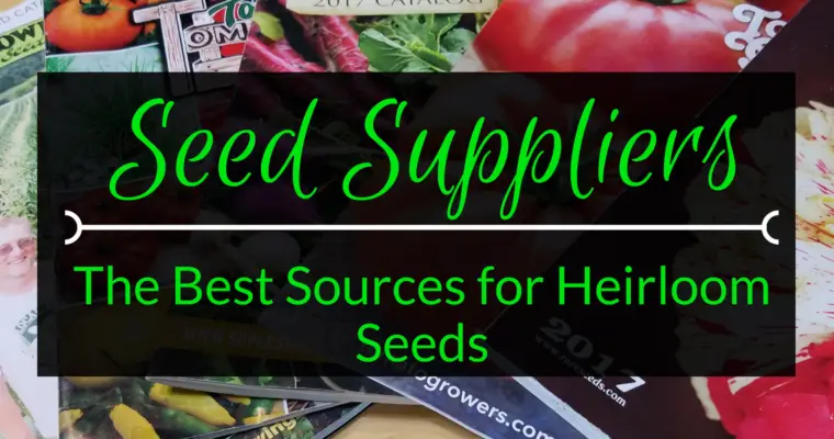 The Best Online Seed Suppliers